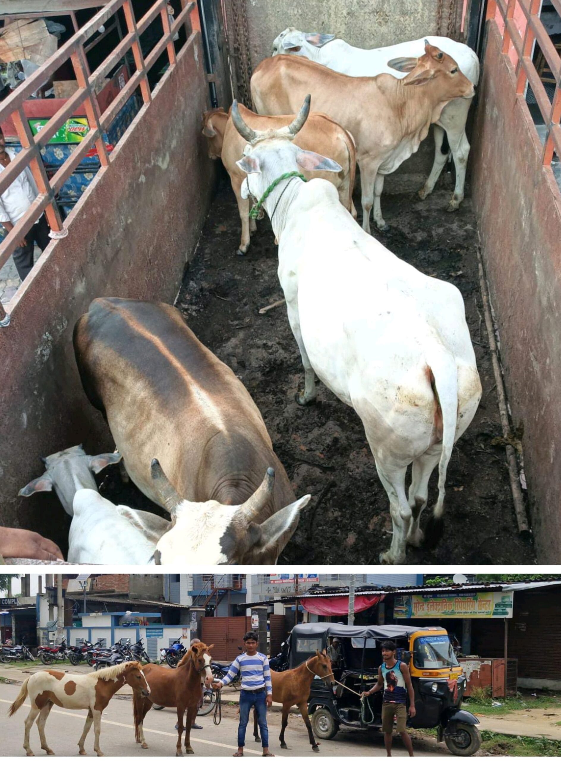 nagar panchayat shohratgargh