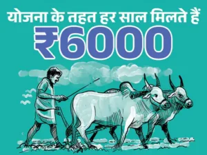 PM किसान की 22वीं किस्त मार्च में आ सकती है:9 करोड़ किसानों के खाते में ₹2-2 हजार आएंगे, चेक करें आपको मिलेंगे या नहीं