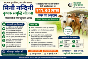 गोपालकों के लिए सुनहरा अवसर: मिनी नन्दिनी कृषक समृद्धि योजना में ₹11.80 लाख तक का अनुदान